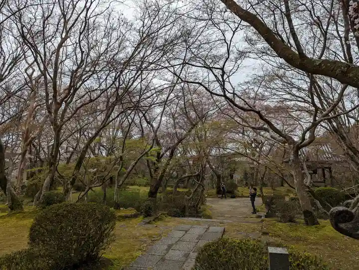 勝持寺(花の寺)(京都府)