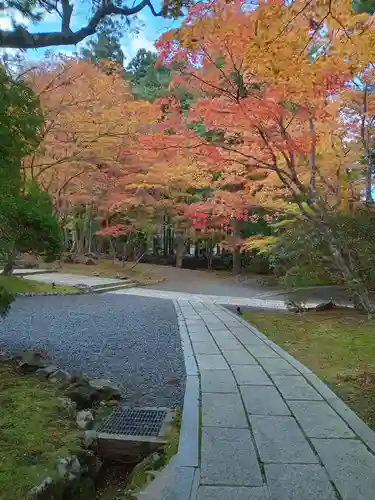 高野山金剛峯寺奥の院(和歌山県)
