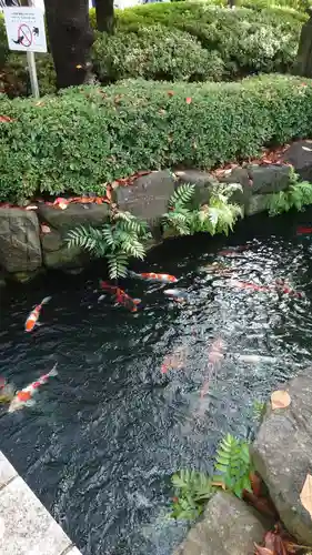 浅草寺(東京都)