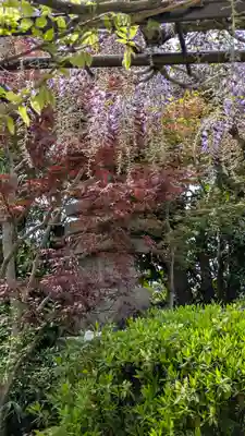 乘願院(京都府)