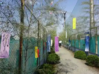 祥龍山 金剛寺のお祭り