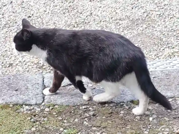 今市報徳二宮神社(栃木県)