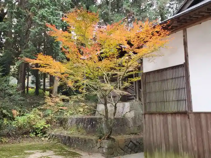 杉森神社の自然