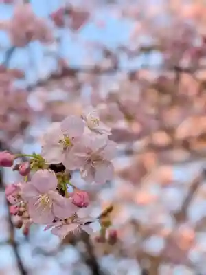蓮華寺(東京都)