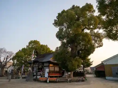 牛嶋天満宮の{uncategorized: "未分類", other: "その他", undefined: "問題あり", building: "その他建物", grave: "お墓", sacred_gate: "鳥居", guardian: "狛犬", statue: "像", buddha: "仏像", history: "歴史", nature: "自然", garden: "庭園", animal: "動物", pagoda: "塔", temizu: "手水舎", mountain_gate: "山門・神門", sanctuary: "本殿・本堂", subordinate: "末社・摂社", art: "芸術", scenery: "景色", jizo: "地蔵", ema: "絵馬", goshuin: "御朱印", omikuji: "おみくじ", items: "授与品その他", amulet: "お守り", goshuincho: "御朱印帳", eats: "食事", festival: "お祭り", votive_dance: "神楽", shichigosan: "七五三参", wedding: "結婚式", experience: "体験その他", initially: "初詣", around: "周辺", anti_infection: "感染症対策"}