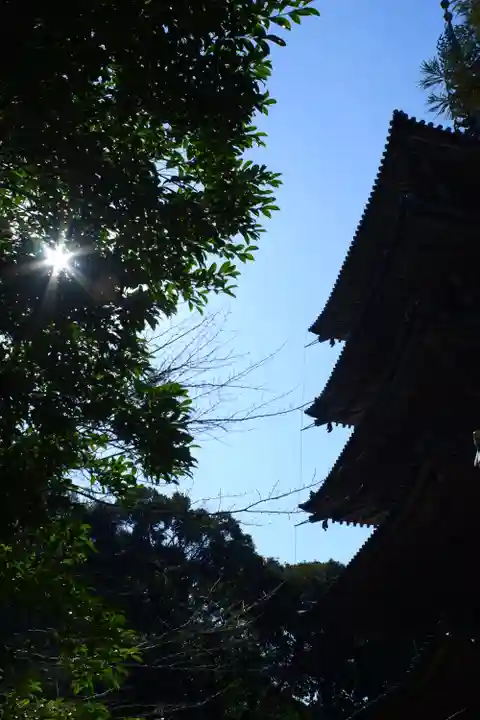醍醐寺(京都府)