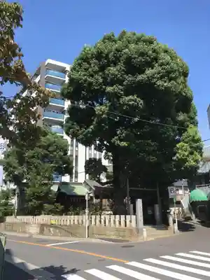 八幡神社のその他建物