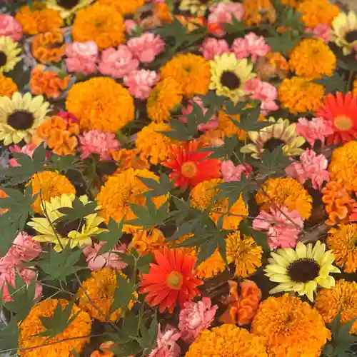 長良神社の手水舎