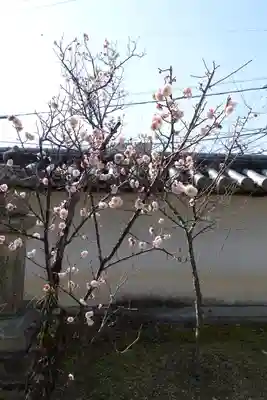 菅原天満宮（菅原神社）(奈良県)