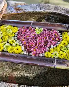 立志神社(滋賀県)(2025年11月02日(日) 14時14分25秒投稿)