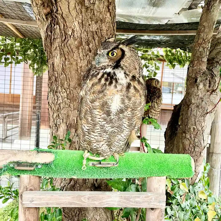 宮地嶽神社(福岡県)