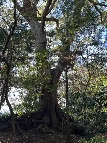 静岡浅間神社(静岡県)