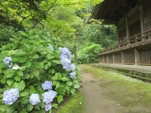 妙本寺の景色