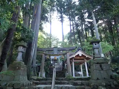 少名彦神社の鳥居