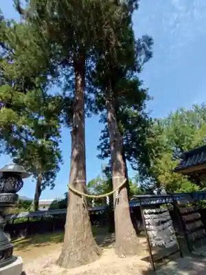 守りの神　藤基神社(新潟県)
