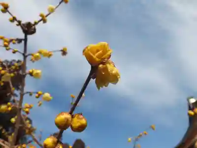 沙沙貴神社のその他建物