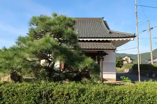 国分寺の建物その他