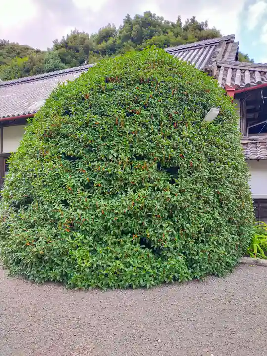 常安寺(三重県)