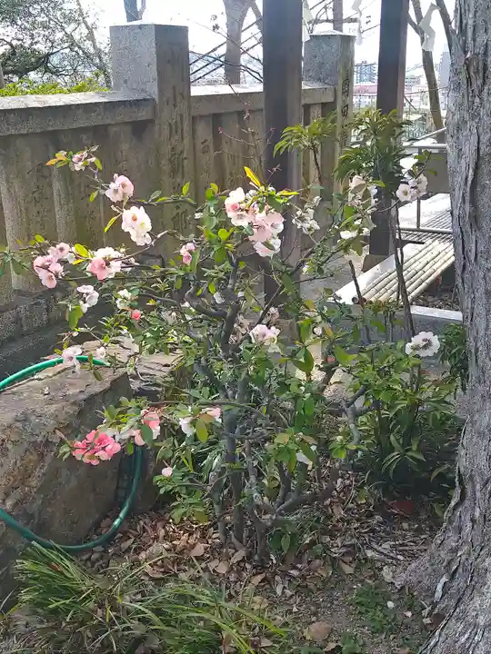 阿智神社の自然