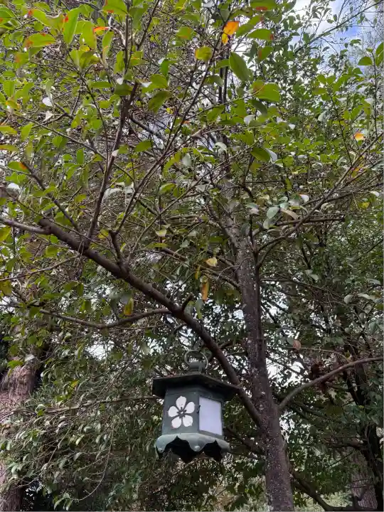 櫻木神社(千葉県)
