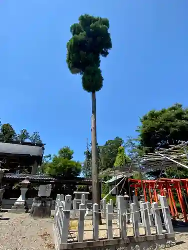 五社神社の自然