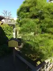 実相寺(東京都)