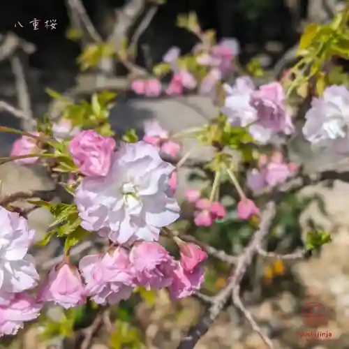 立志神社(滋賀県)