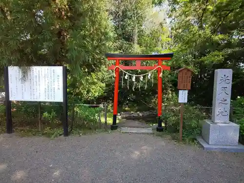 鷲宮神社の鳥居