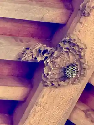 瀬織津姫社(石川県)