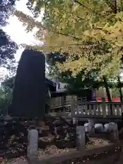 八雲氷川神社(東京都)