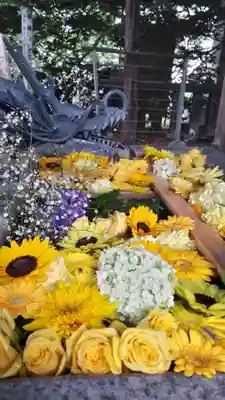 札幌諏訪神社の手水舎