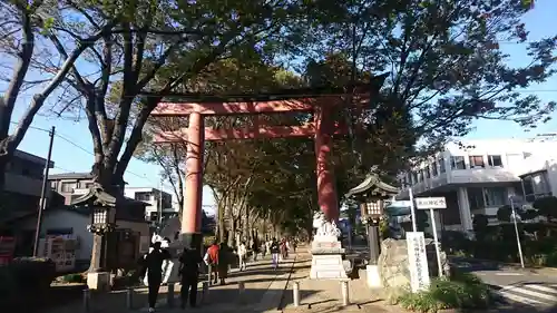 武蔵一宮氷川神社の鳥居