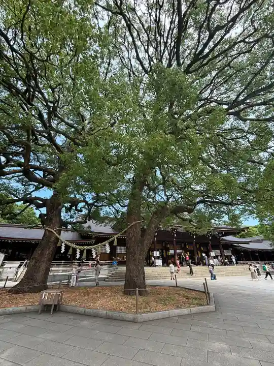 明治神宮(東京都)