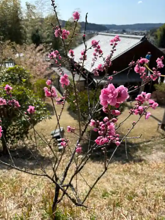 谷崎天神社の{uncategorized: "未分類", other: "その他", undefined: "問題あり", building: "その他建物", grave: "お墓", sacred_gate: "鳥居", guardian: "狛犬", statue: "像", buddha: "仏像", history: "歴史", nature: "自然", garden: "庭園", animal: "動物", pagoda: "塔", temizu: "手水舎", mountain_gate: "山門・神門", sanctuary: "本殿・本堂", subordinate: "末社・摂社", art: "芸術", scenery: "景色", jizo: "地蔵", ema: "絵馬", goshuin: "御朱印", omikuji: "おみくじ", items: "授与品その他", amulet: "お守り", goshuincho: "御朱印帳", eats: "食事", festival: "お祭り", votive_dance: "神楽", shichigosan: "七五三参", wedding: "結婚式", experience: "体験その他", initially: "初詣", around: "周辺", anti_infection: "感染症対策"}