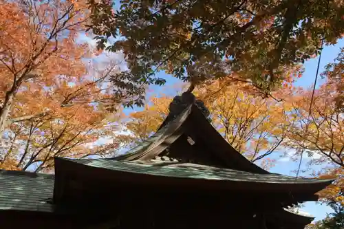 愛宕神社の景色