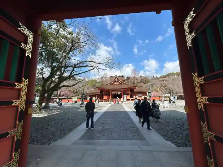 富士山本宮浅間大社(静岡県)