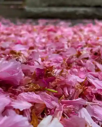 普賢寺(東京都)