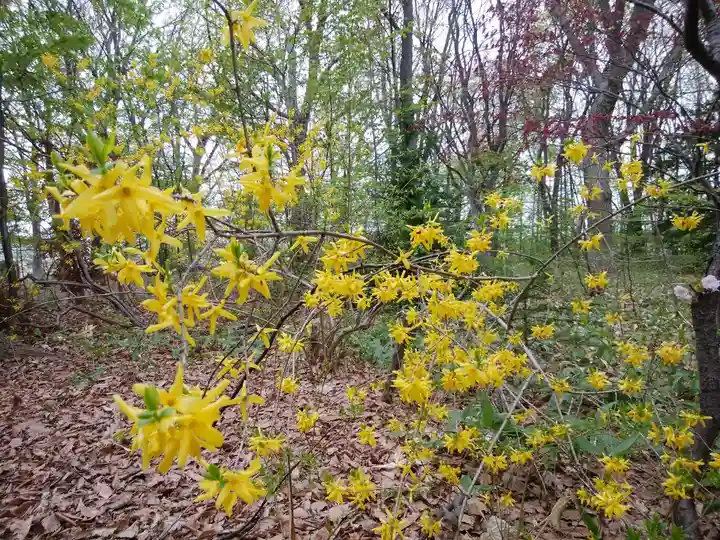 厚別神社(北海道)