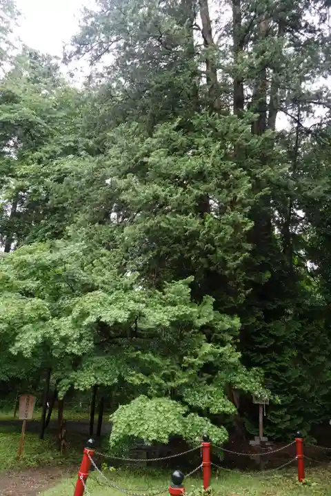 伊佐須美神社(福島県)
