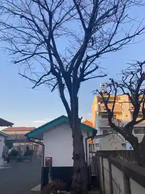 長泉寺(神奈川県)