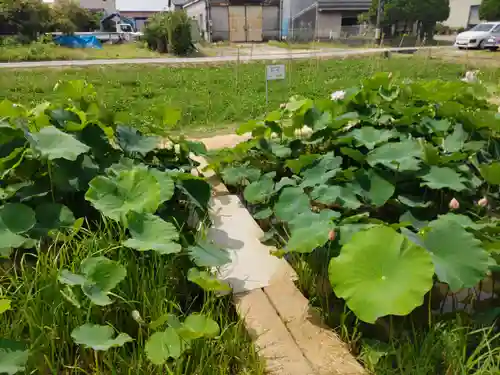 雲龍山 本證寺(愛知県)