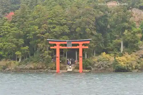 九頭龍神社本宮(神奈川県)