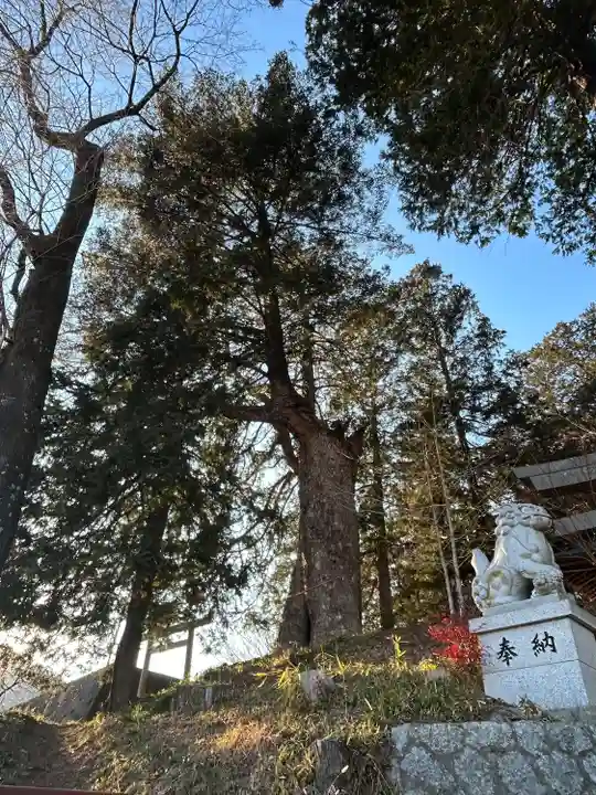若宮八幡神社(山梨県)