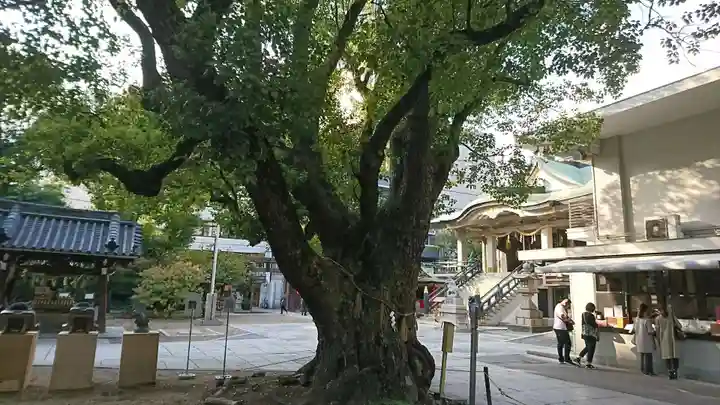 難波神社の自然