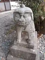 琴平神社の狛犬