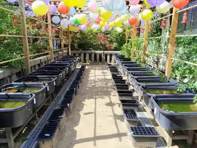 おふさ観音（観音寺）の動物