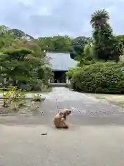 伊勢の国 四天王寺の動物