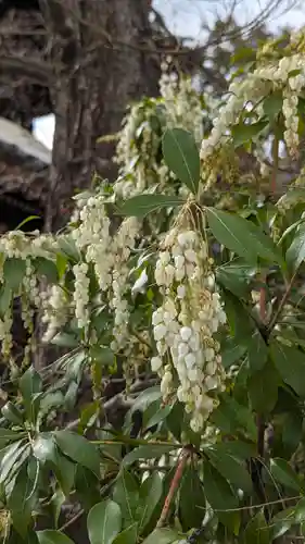 清凉寺(京都府)