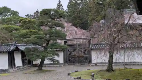 醍醐寺(京都府)
