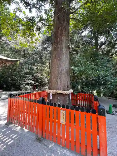 鷺森神社の自然